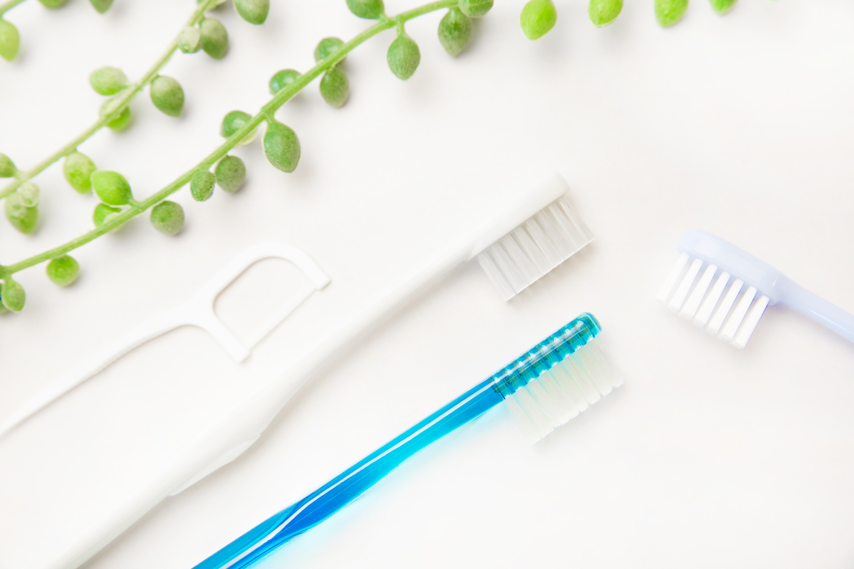 川上歯科パンジョ診療所 川上歯科パンジョ診療所